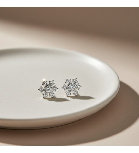 Winter Frost Snowflake Studs
