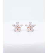 Glory Five Petal Flower Stud Earrings | Silver Earrings | Stylora