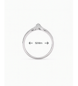 Silver Colour Ring | 92.5 Sterling Silver Ring | Stylora